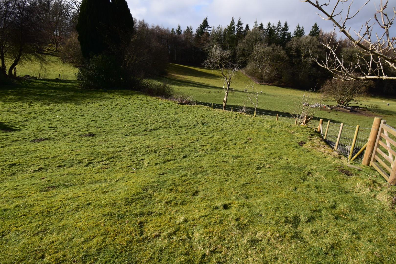 Tom Parry Llandderfel, Bala